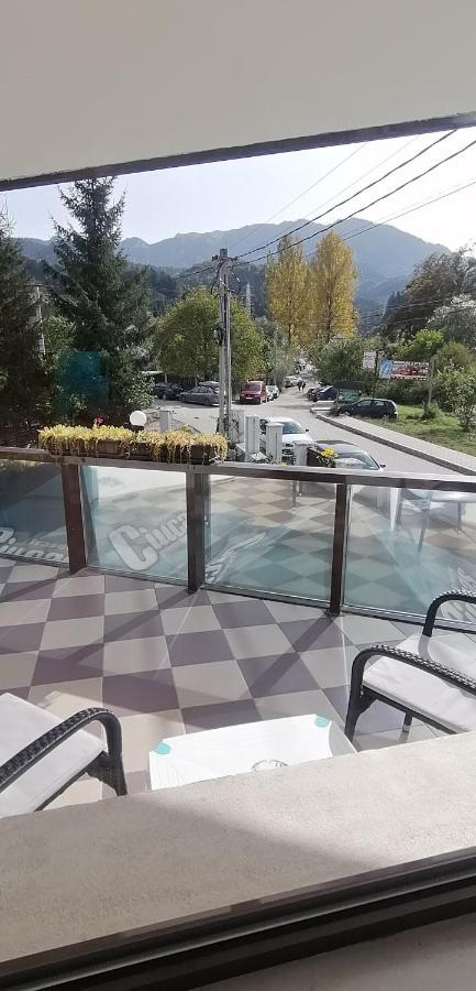 M7 Villa Bed& Bistro Timisu de Jos Exteriér fotografie