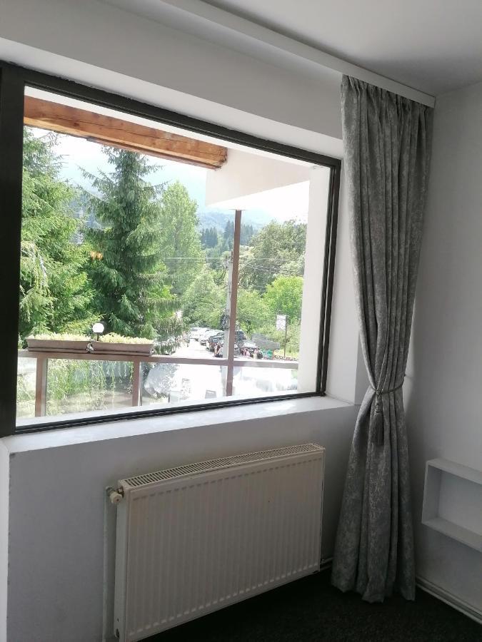 M7 Villa Bed& Bistro Timisu de Jos Exteriér fotografie