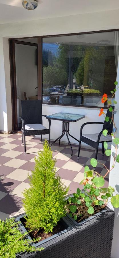 M7 Villa Bed& Bistro Timisu de Jos Exteriér fotografie