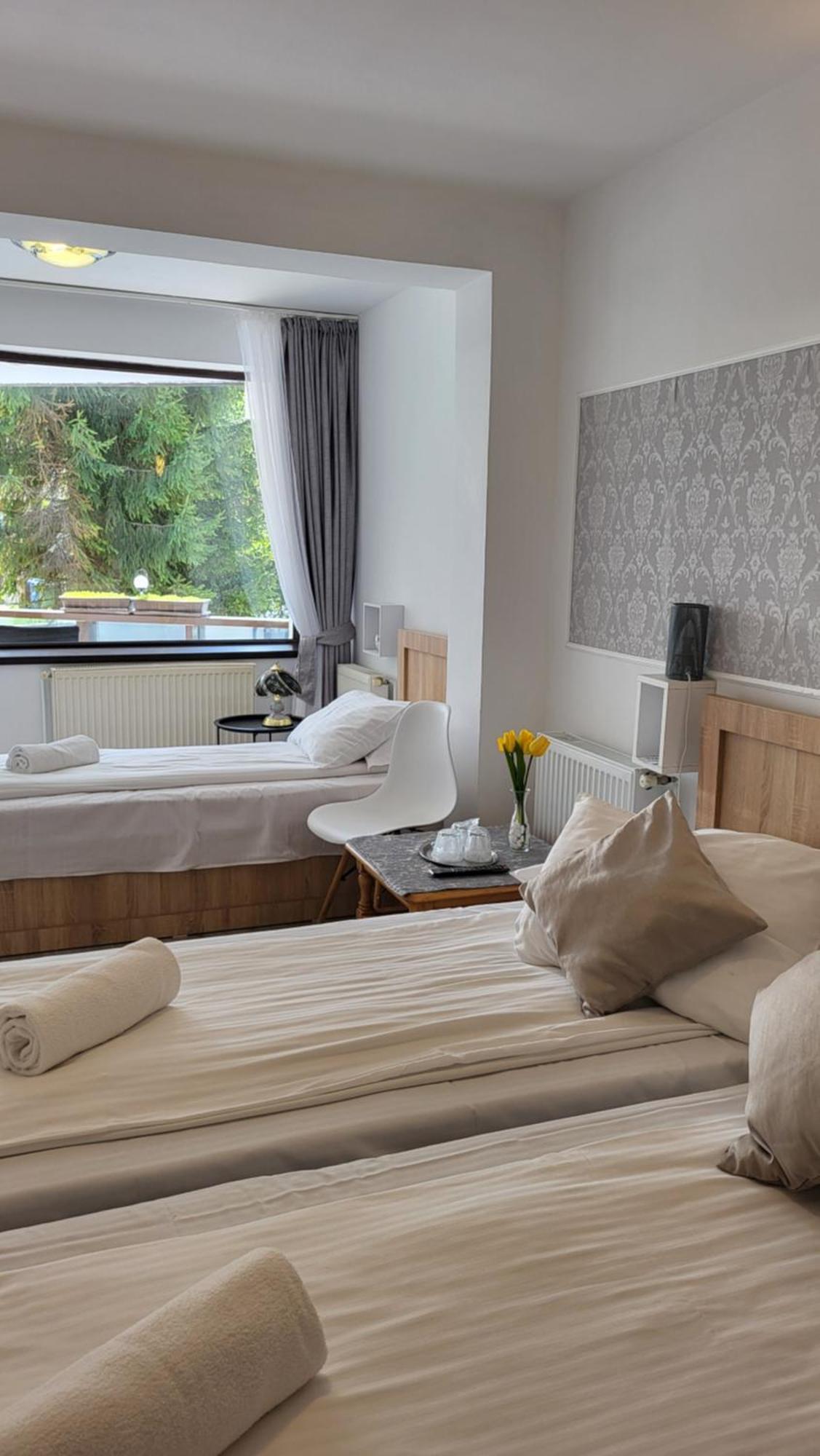 M7 Villa Bed& Bistro Timisu de Jos Exteriér fotografie